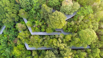 南側の尾根を空から見た図